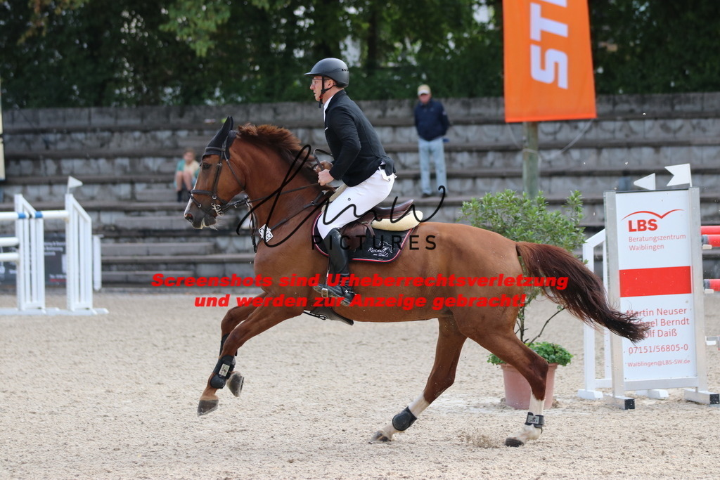 IMG_8703 | lmwpictures - Realisiert mit Pictrs.com