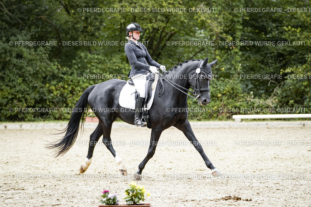 DSC02321 | Pferdegrafie