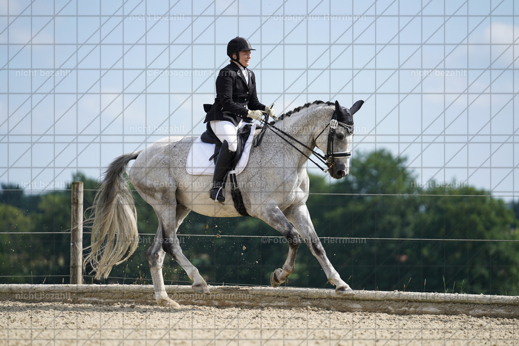 20230826-FAH05963 | Forstinning, 2023, Dressurturnier, Turniersportbilder, Turnierfotografen Bayern, Fotoagentur Herrmann, Reitsportfotografie, Turnierbilder