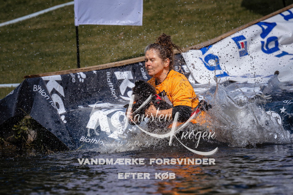 _ZZ931160936 | kk-dogfotos