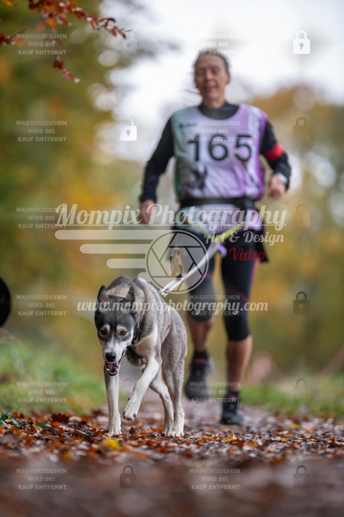 DBT_DAKM_SA_4_11_2023_Canicross-119 | PayLife