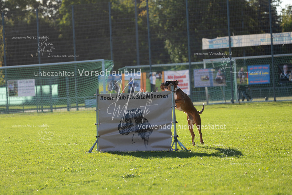 _16A4849 | Einzigartige Fotos von Hunden & Menschen –Actionfotos, Portraits, Vereinsaufnahmen & Paarshootings – authentisch, lebendig & mit Herz.