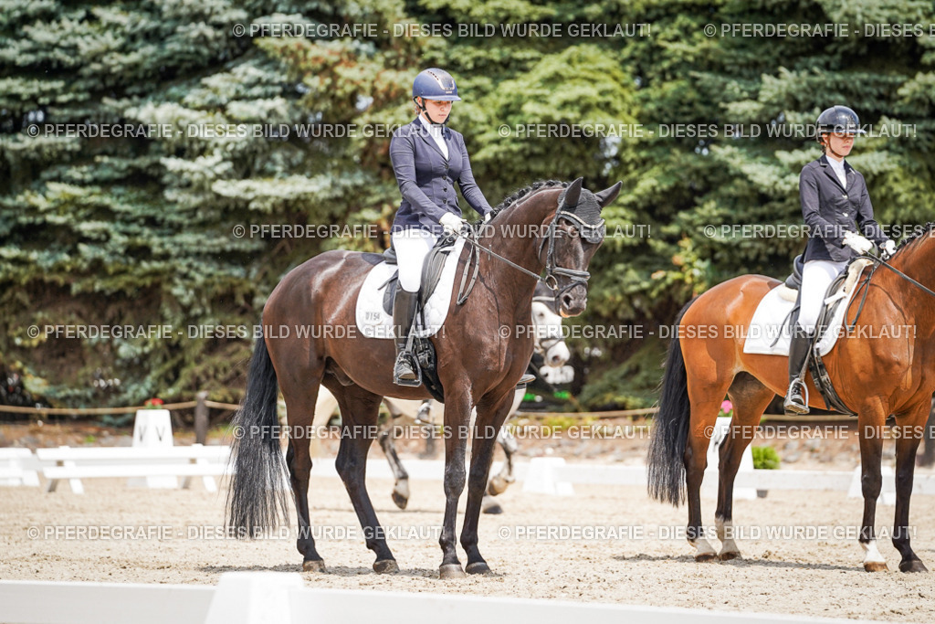 DSC03454 | Pferdegrafie