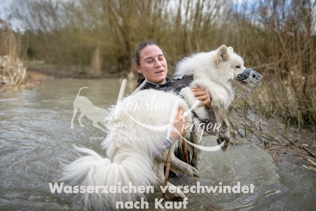 1557_ZZ95044 | kk-dogfotos