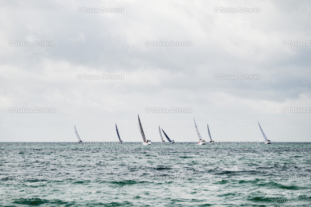 Fehmarn Rund 2025_DSC6936 | Fotoprodukte, Kalender und Wanddeko direkt vom Fotografen auf Fehmarn. Ob Wandbild auf Alu-Dibond, hinter Acrylglas oder auf Leinwand – hier können Sie Ihr Lieblingsbild kaufen. - Realisiert mit Pictrs.com