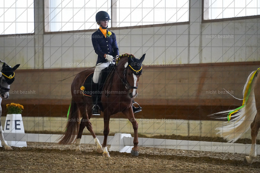 20240825-FAH08959 | Turnierbilder, Reitsportfotos, LAPO, Landesponyturnier, Turnierfotografen Bayern