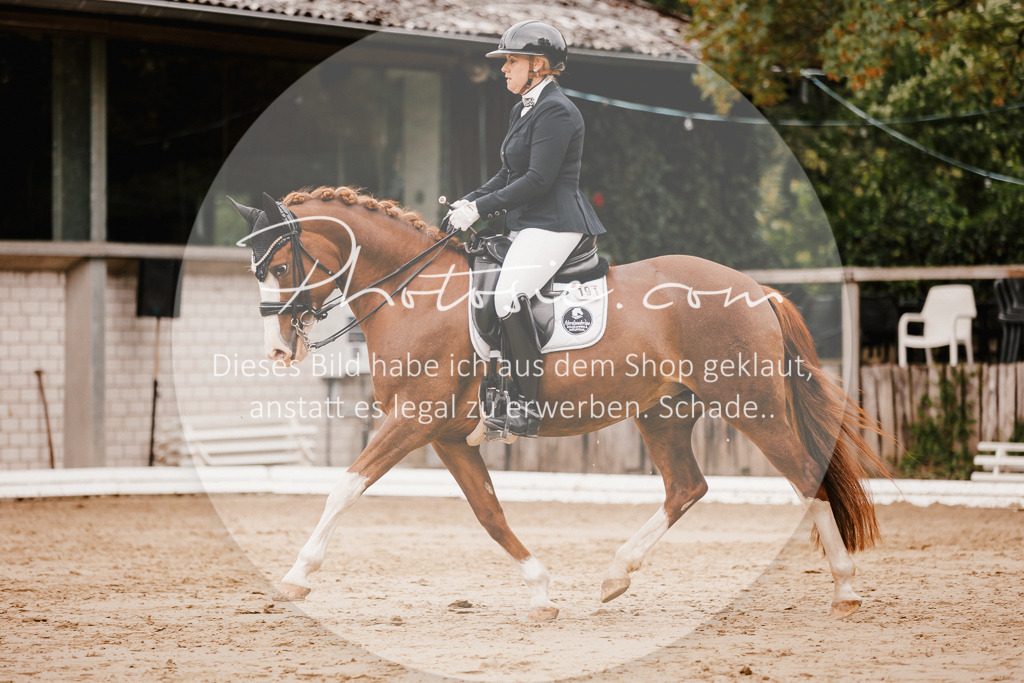 3I6A7804 | Stimmungsvolle Portraits und Reitsportfotografie im Ruhrgebiet und im Münsterland.

Pferdefotografie, Hundefotografie, Tierfotografie, Reportagen, Portraits von Tier und Mensch, Turnierfotografie in Bochum, Recklinghausen, Marl, Haltern am See, Dülmen.. - Realisiert mit Pictrs.com