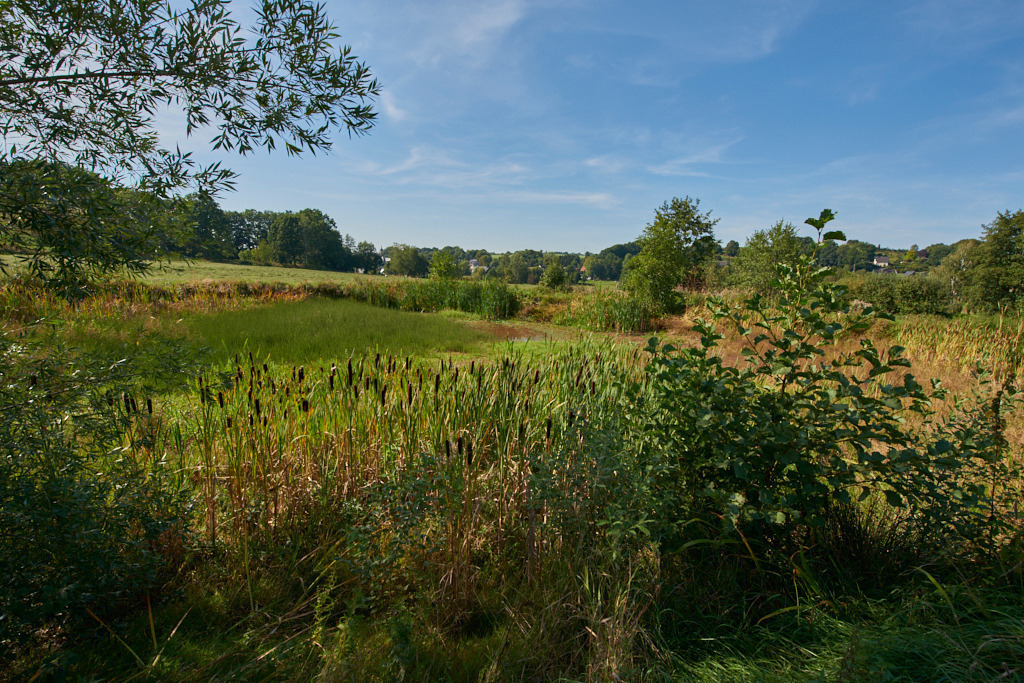 Standgewässer nordwestlich von Hartenstein 02 | Bedeutsame Landschaften Deutschlands - Realisiert mit Pictrs.com