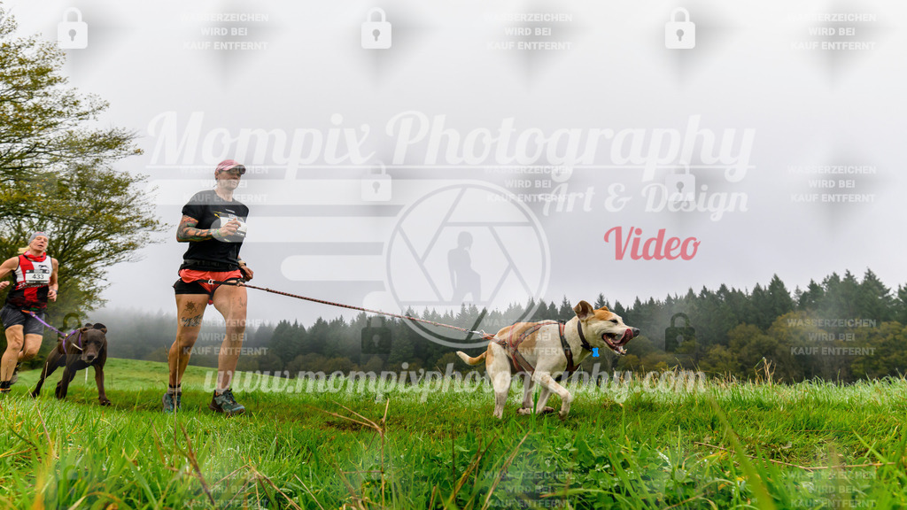 MompixPhotography_20TSB_E5_Run-86 | PayLife