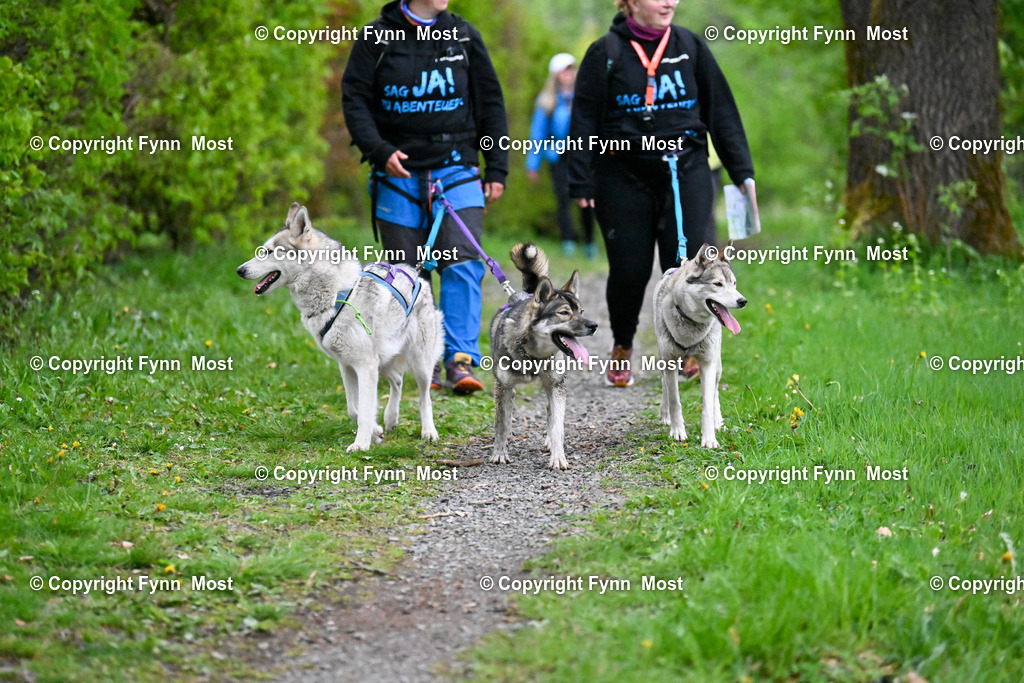 DSC_6772 | Hallo und herzlich Willkommen auf meiner Shop-Seite Fynn Most.

Ich wünsche Dir viel Spaß beim stöbern durch die Bilder, wenn Du Fragen hast oder Bilder vermisst, kannst du mir gerne eine Nachricht schreiben. - Realisiert mit Pictrs.com