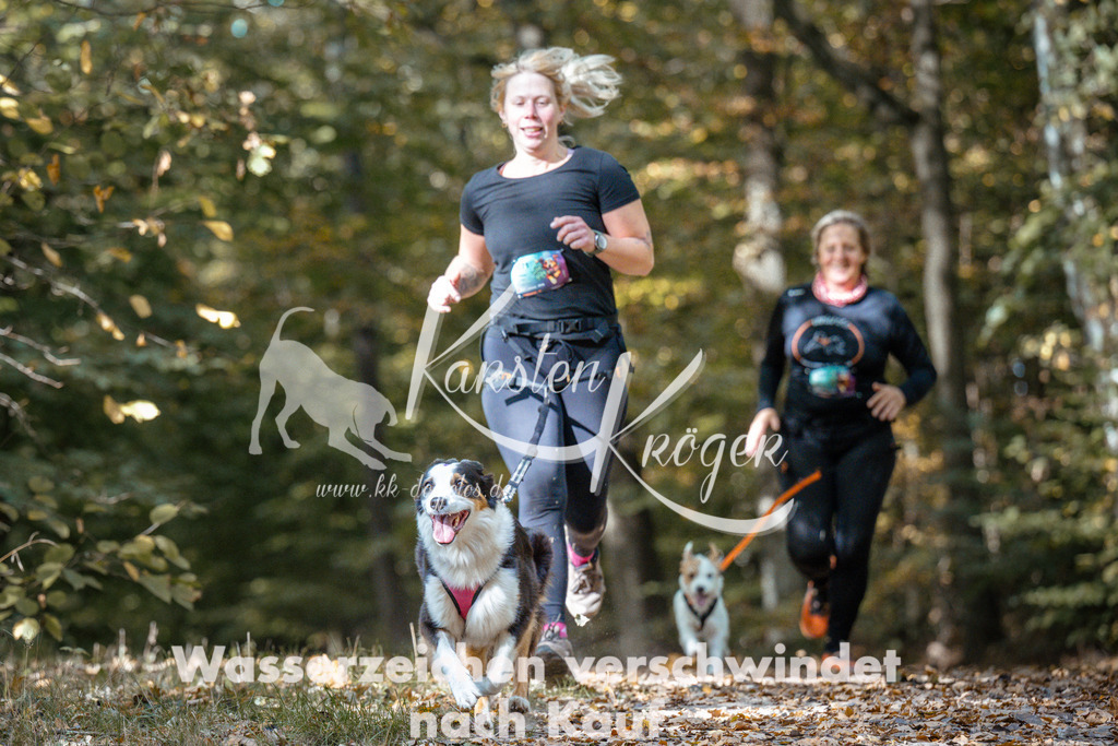 1305_ZZ97277 | kk-dogfotos