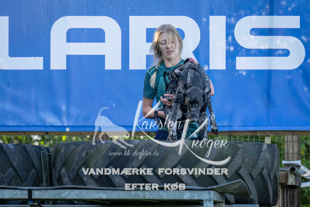 1014--6 | kk-dogfotos