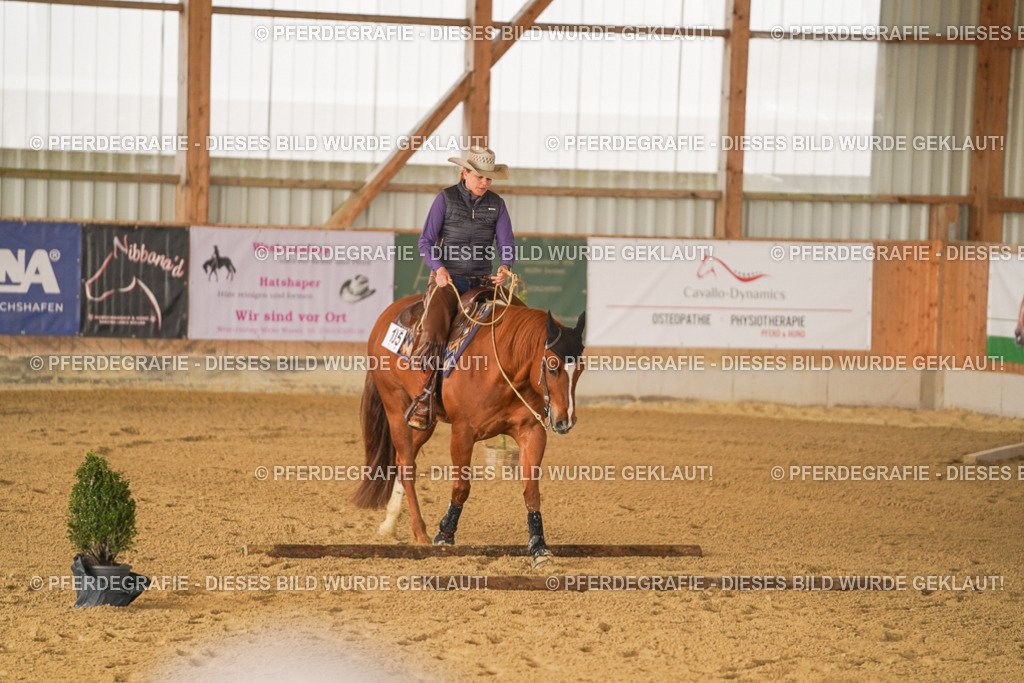 DSC01220 | Pferdegrafie