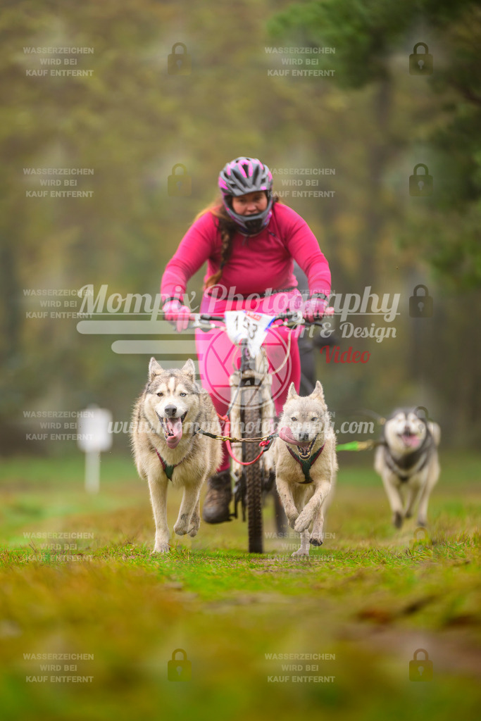 MompixPhotography_Bischwiller2025_Bike-147 | mompixphotography
