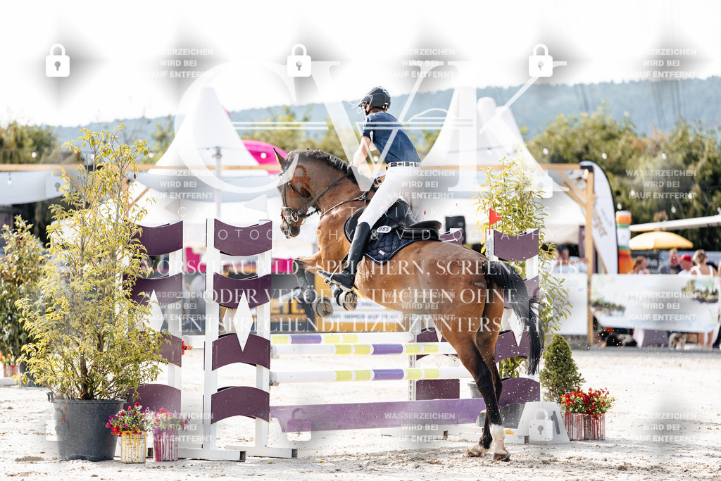 CK905465 | Turnierfotografie Pferdefotografie Trier Rheinland-Pfalz Pferdesport Reitsport Tierfotografie Sportfotografie Pferdevideo Pferdevideografie Equestrianvideography equestrianphotography  - Realisiert mit Pictrs.com