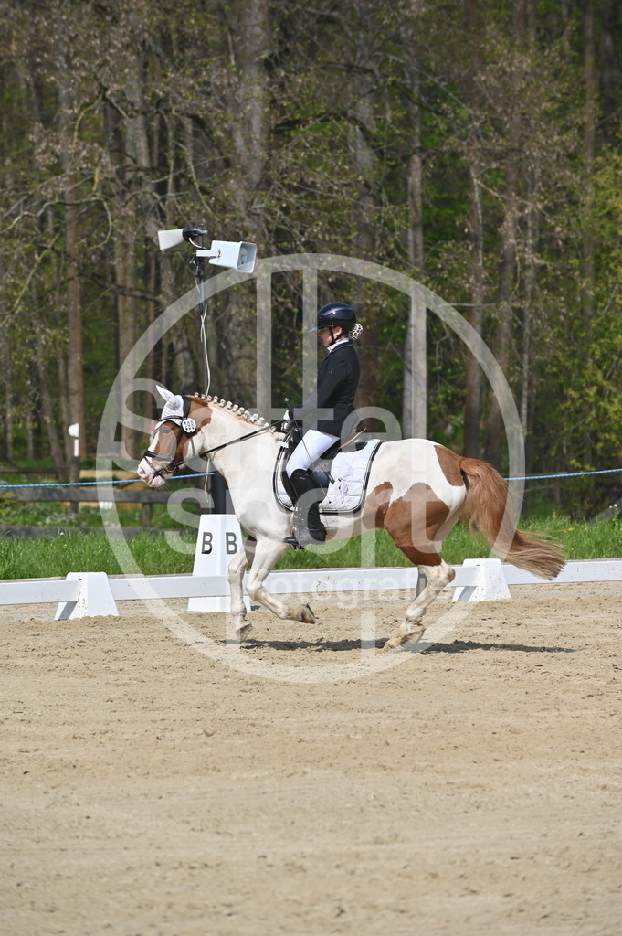 DSC_1008 | sattelsport - Realisiert mit Pictrs.com