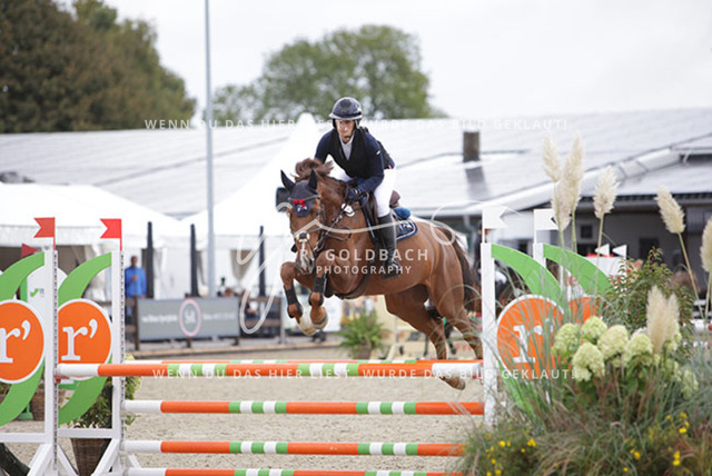 1J2A9603Christin Schulz_ Czyro AS_ Kn348_ Havekost | Foto- und Videografie für alles rund ums Pferd. Hochwertige Bilder und Videos vom Spring- und Dressurreiten, Voltigieren & mehr. Jetzt aktuelle Veranstaltungen und Preise im Shop ansehen. - Realisiert mit Pictrs.com