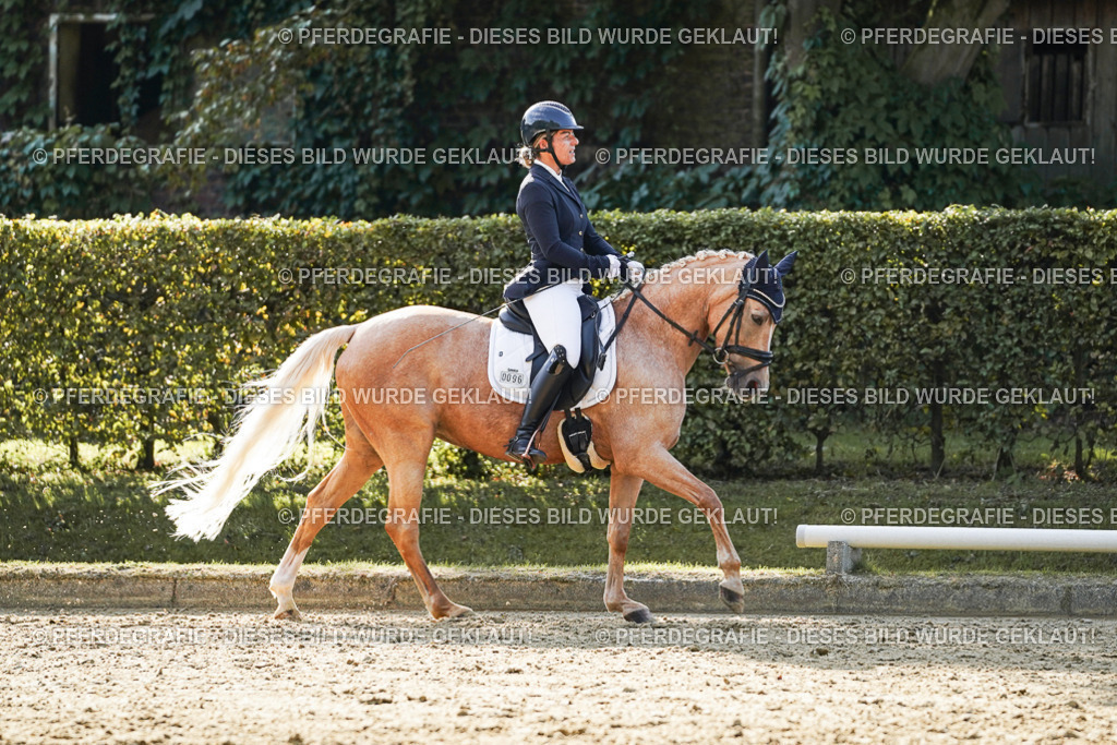 DSC05740 | Pferdegrafie