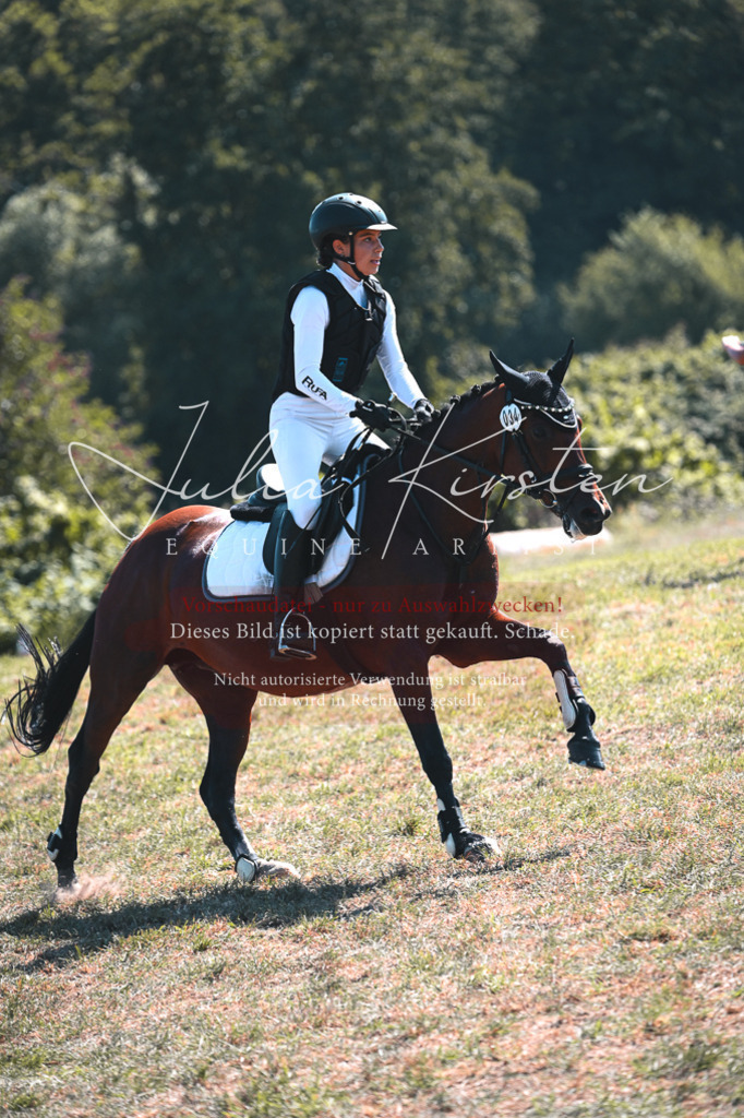 DSC_8272 | Pferde- und Turnierfotografie in Westsachsen. Pferdeportraits, Auftragszeichnungen und intuitive Kunst.
