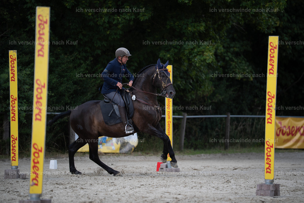 WS_SP_37_Stoibphotography_SO10846 | working equitationturnier fotograf videograf stoibphotography marixx film working equitation deutschland reitsport turnierfotografie eventfotografie equestrian events