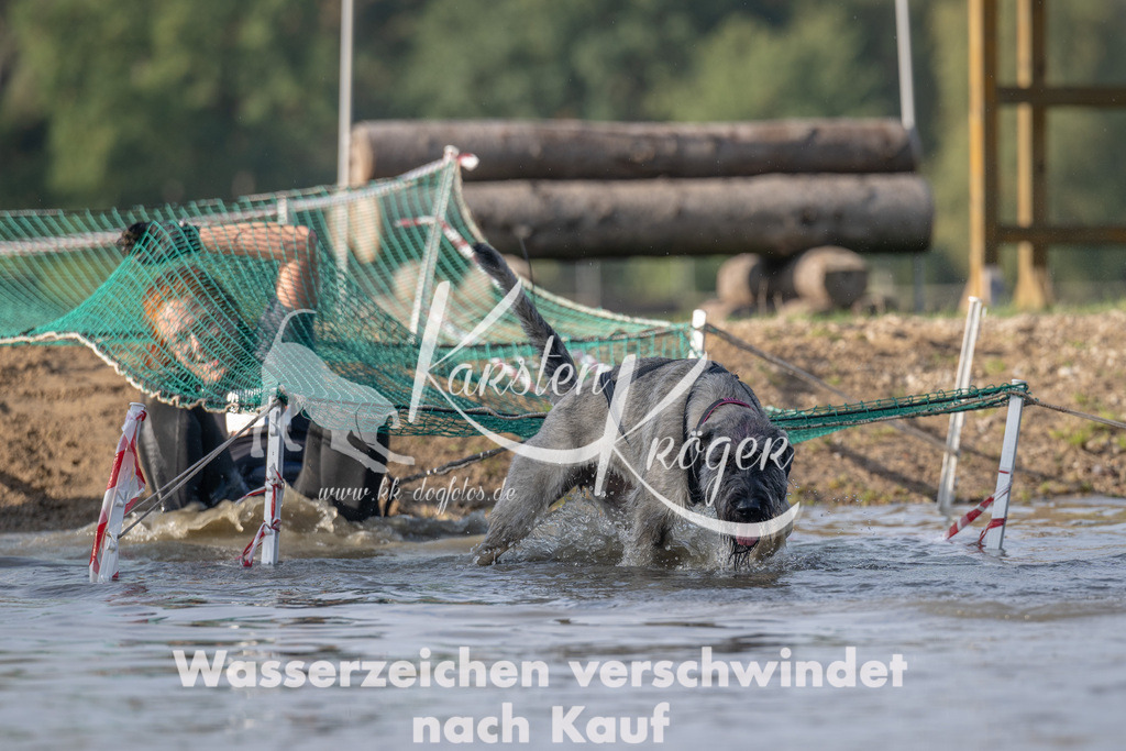 1033_ZZ93935 | kk-dogfotos