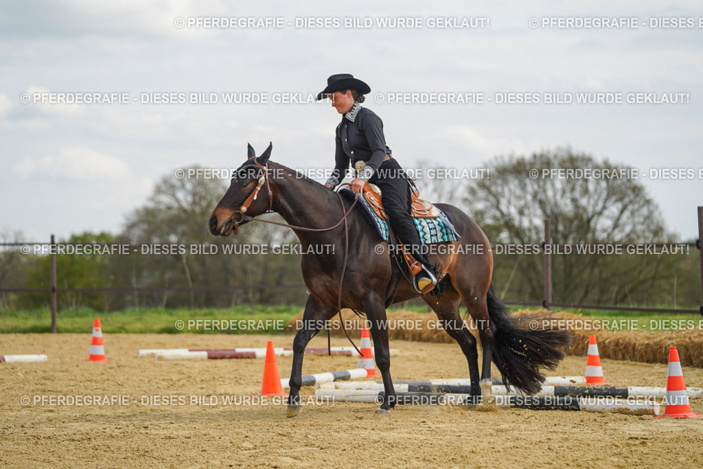 DSC05290 | Pferdegrafie