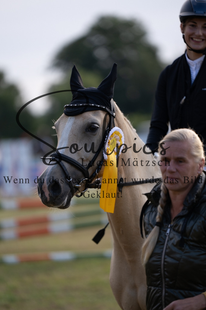 A7V08006 | Turnier/Reitfotograf