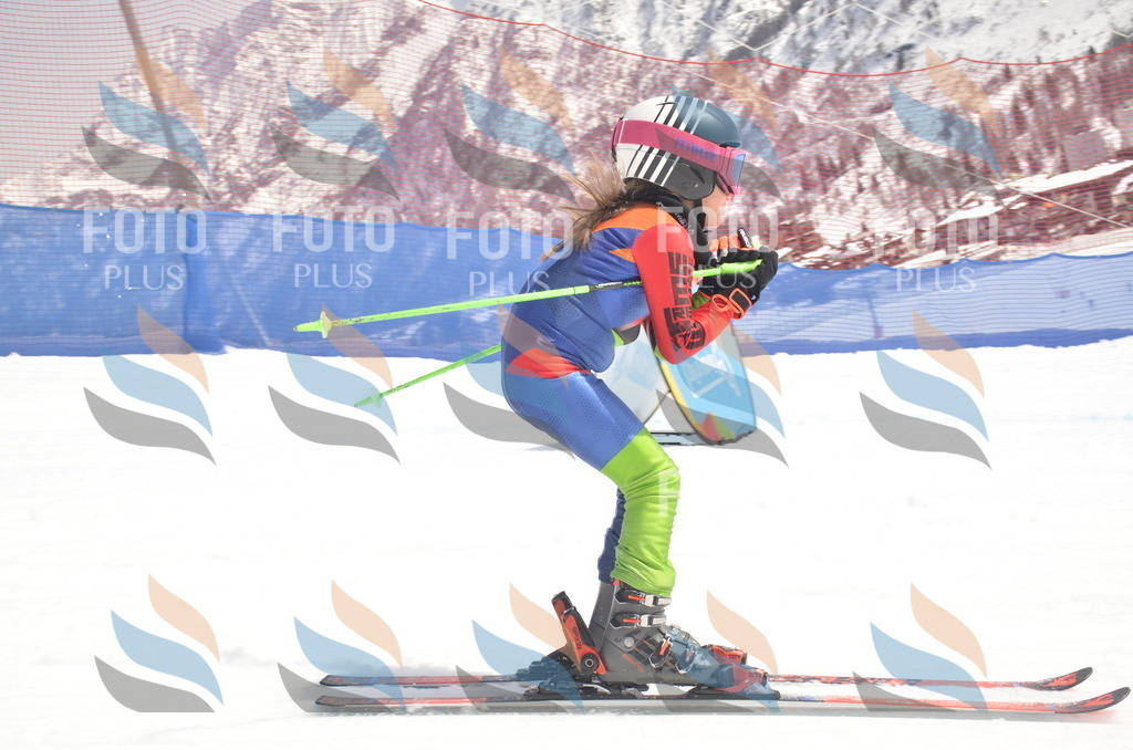 _ELE8860 | holidayphoto