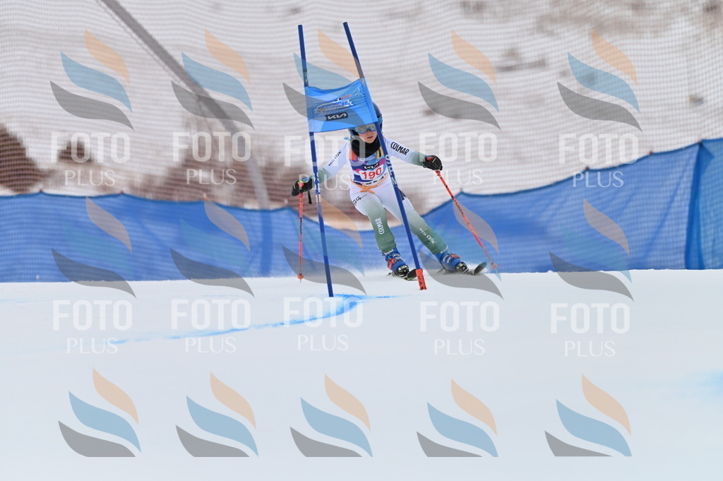 BGV_1408 | holidayphoto