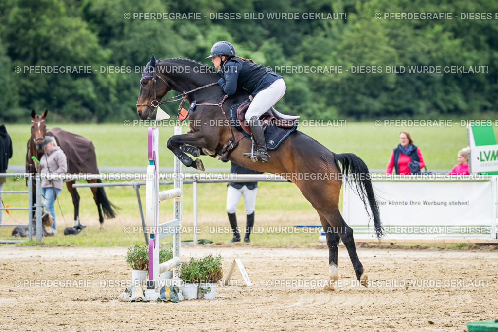 DSC05072 | Pferdegrafie