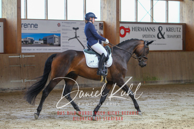 DKP43432 | Turniersportfotografie; Pferdefotografie; Dressurfotografie