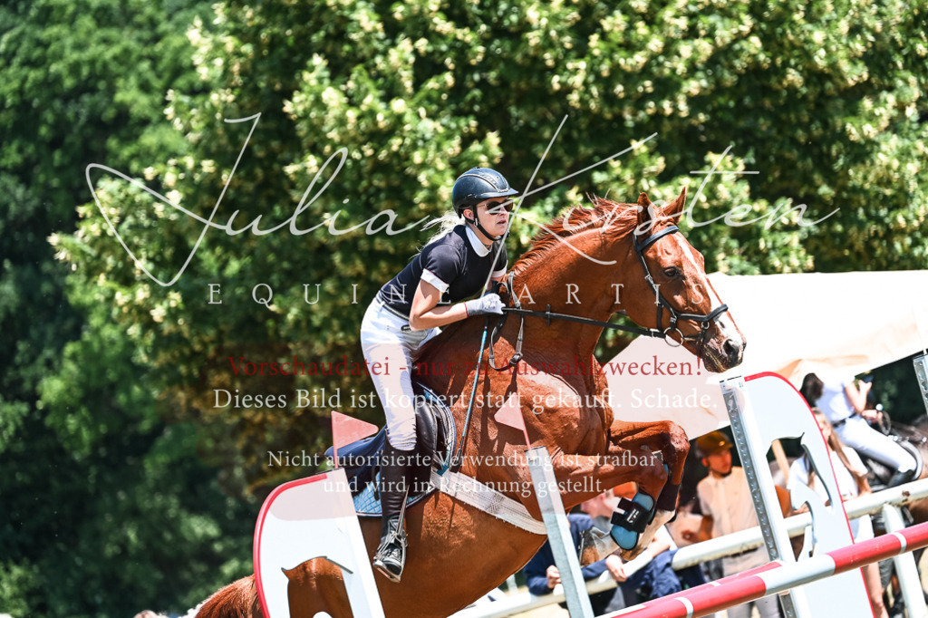DSC_0477 | Pferde- und Turnierfotografie in Westsachsen. Pferdeportraits, Auftragszeichnungen und intuitive Kunst.