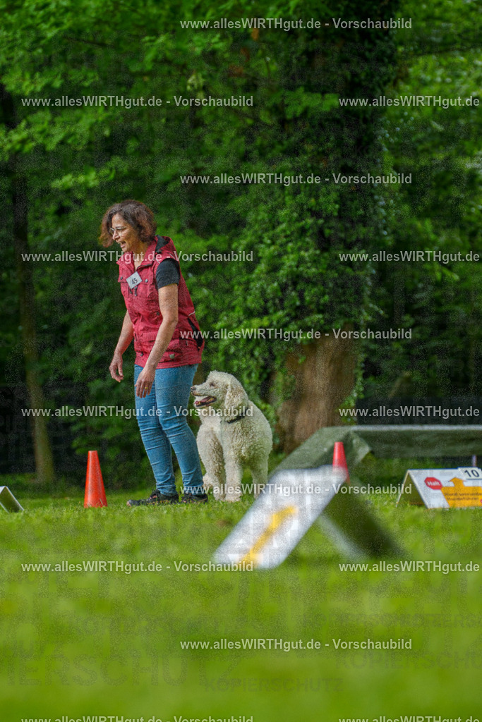 @allesWIRTHgut_Tierfotografie - www.allesWIRTHgut.de - 7R505259 | Professionelle Tierfotografie in Mönchengladbach von Daniel Wirth (allesWIRTHgut). Liebevolle & natürliche Bilder von Hunden & Katzen für unvergessliche Erinnerungen.