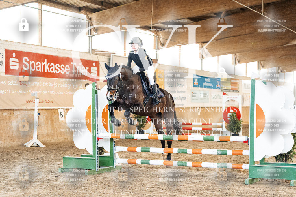 CK903796 | Turnierfotografie Pferdefotografie Trier Rheinland-Pfalz Pferdesport Reitsport Tierfotografie Sportfotografie Pferdevideo Pferdevideografie Equestrianvideography equestrianphotography  - Realisiert mit Pictrs.com