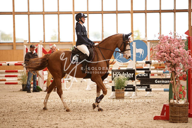 1J2A4326Lilli Plath_ Butler of Picobello Z_ Kn039_ Hohen Wieschendorf_ Glantz | Foto- und Videografie für alles rund ums Pferd. Hochwertige Bilder und Videos vom Spring- und Dressurreiten, Voltigieren & mehr. Jetzt aktuelle Veranstaltungen und Preise im Shop ansehen. - Realisiert mit Pictrs.com