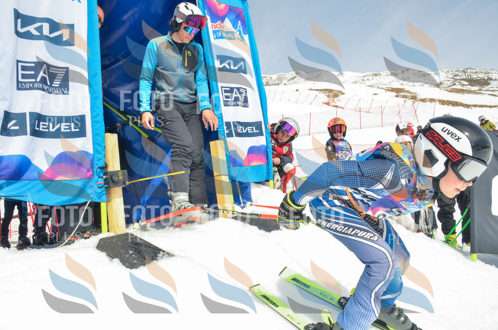 _ELE7268 | holidayphoto