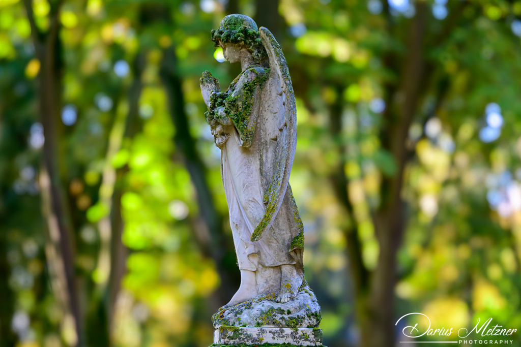 Der alte Hauptfriedhof in Mainz | Der alte Hauptfriedhof in Mainz