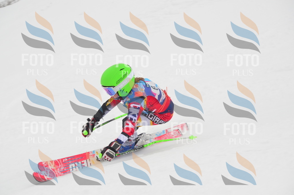 C1133 | holidayphoto