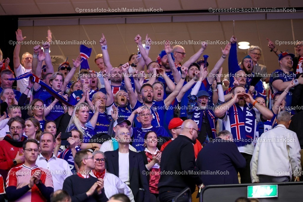 EHF30012603097 | 30.01.2026, Handball, Men's EHF EURO 2026, Dänemark - Island, Jyske Bank Boxen in Herning, Dänemark, Semi Finals:  Isländische Handballfans auf der Tribüne feuern die Mannschaft an.