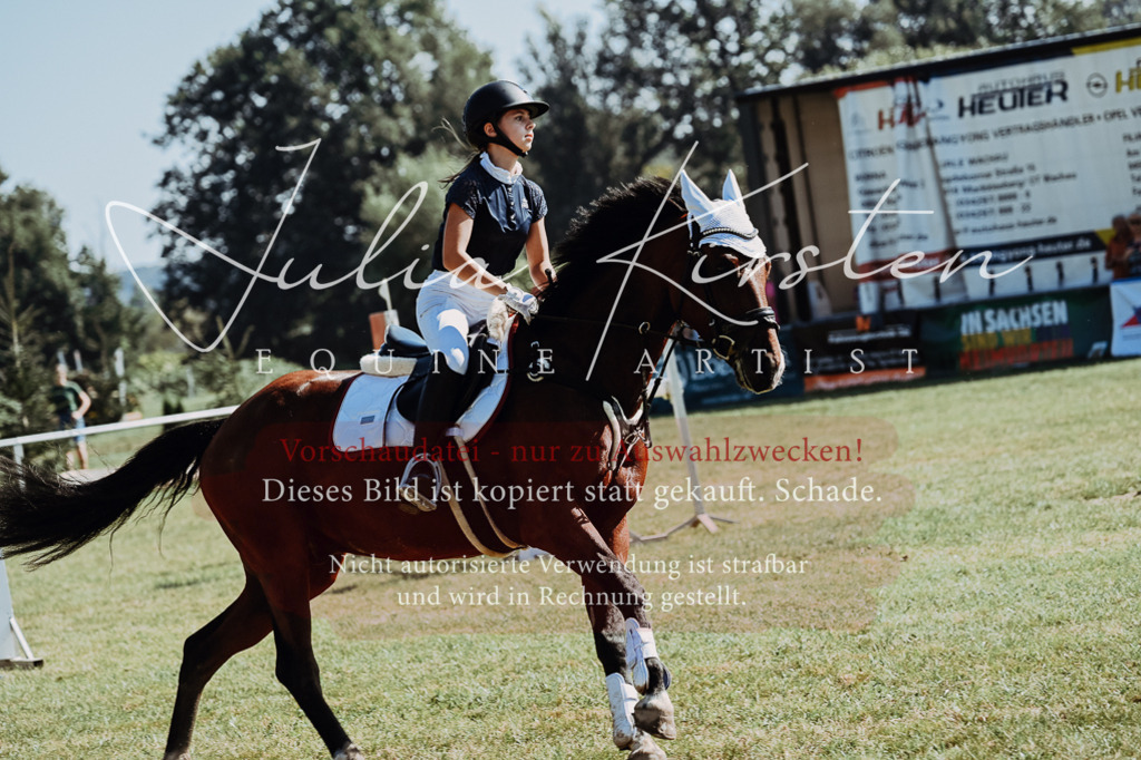 DSC_5846 | Pferde- und Turnierfotografie in Westsachsen. Pferdeportraits, Auftragszeichnungen und intuitive Kunst.