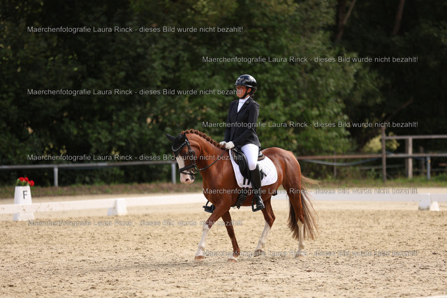 HG9A1613 | laurarinckfotografie - Realisiert mit Pictrs.com