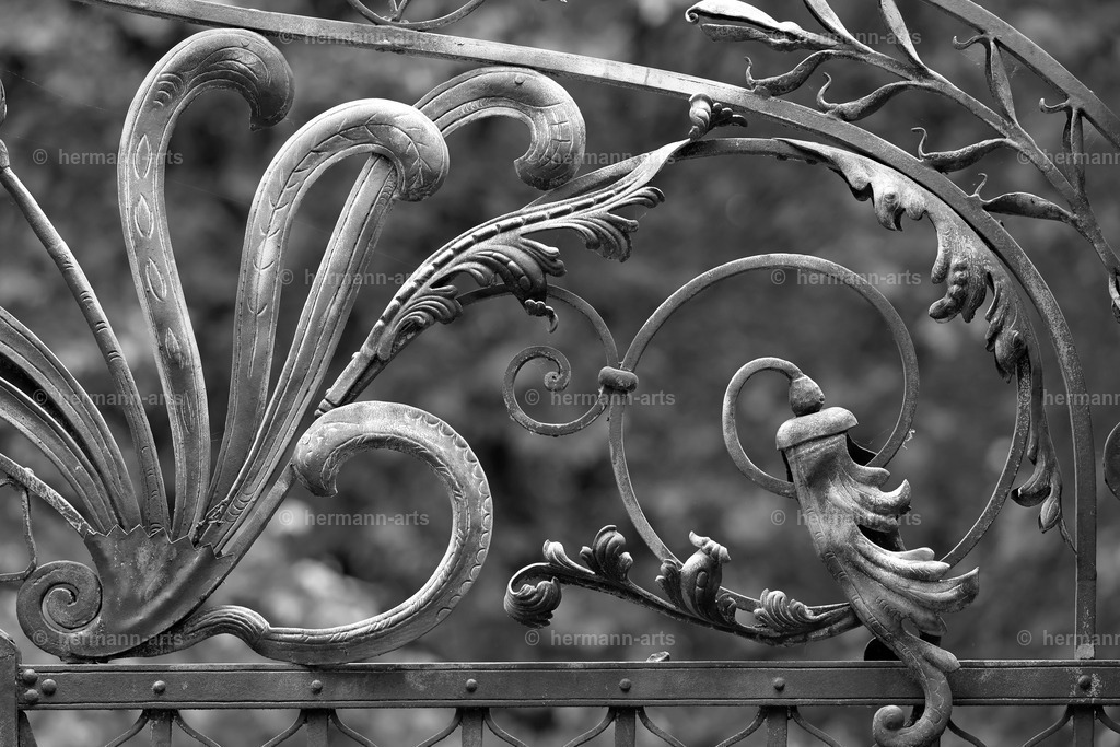 Hermann-Arts_Barockes Tor_039 | Photo Foto Kunst Art schwarzweiss Bilder Rheine Münster Berlin Blumen 
