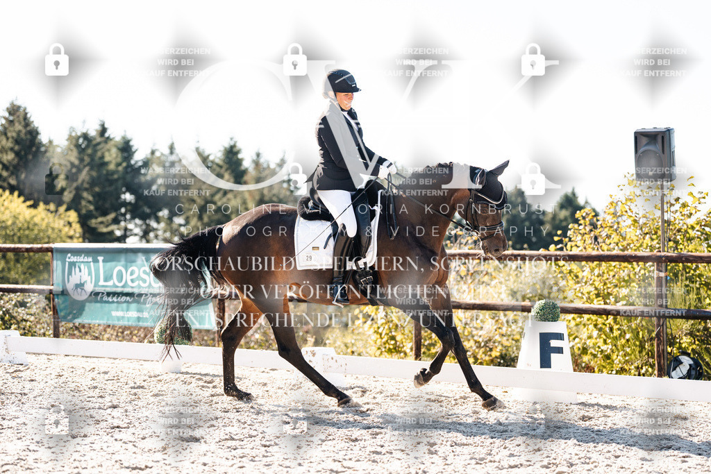 CK906399 | Turnierfotografie Pferdefotografie Trier Rheinland-Pfalz Pferdesport Reitsport Tierfotografie Sportfotografie Pferdevideo Pferdevideografie Equestrianvideography equestrianphotography  - Realisiert mit Pictrs.com