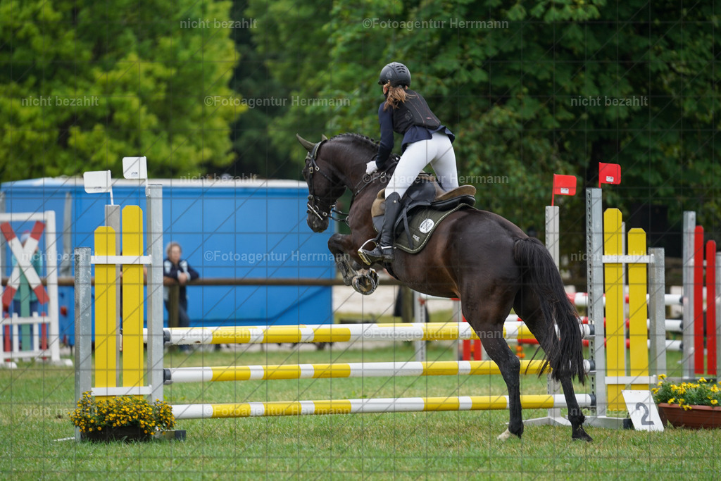 20230701-FAH00365 | Reitturnier Grafing, 2023, Grafing-Aiterndorf, Spribgturnier, Dressurturnier, Bilder, Qualifikation Nürnberger Burgpokal, Fotoagentur Herrmann, Turnierfotografen Bayern, Turnierbilder Bayern, Reitrsportfoto