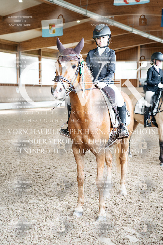 CK703347 | Turnierfotografie Pferdefotografie Trier Rheinland-Pfalz Pferdesport Reitsport Tierfotografie Sportfotografie Pferdevideo Pferdevideografie Equestrianvideography equestrianphotography  - Realisiert mit Pictrs.com