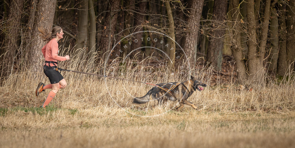 DV3A4191 | Hundefotografie, Tierfotograf, Pfotenfotografie, Fotoshooting Hund, Hunde Portrait, Hundesport, Hundeportraits, Heideshooting, Hunde, Sportfotograf, Hundefotograf, Turnierhundsport, THS,  - Realisiert mit Pictrs.com