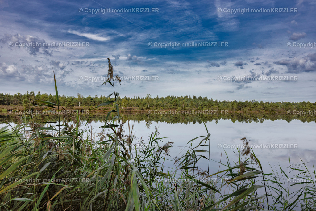 _J3A2260 | medienkrizzler - Realisiert mit Pictrs.com