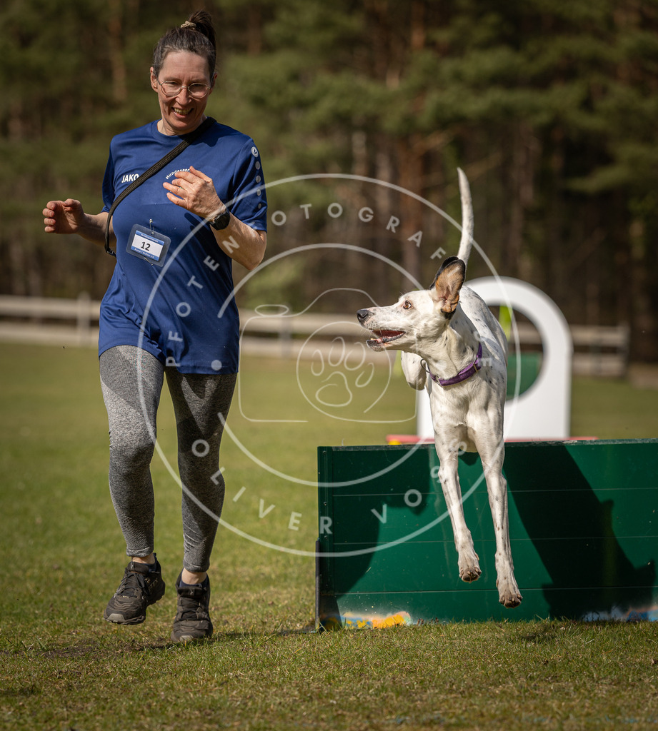 Pfotenfotografie_DV3A0684 | Hundefotografie, Tierfotograf, Pfotenfotografie, Fotoshooting Hund, Hunde Portrait, Hundesport, Hundeportraits, Heideshooting, Hunde, Sportfotograf, Hundefotograf, Turnierhundsport, THS,  - Realisiert mit Pictrs.com