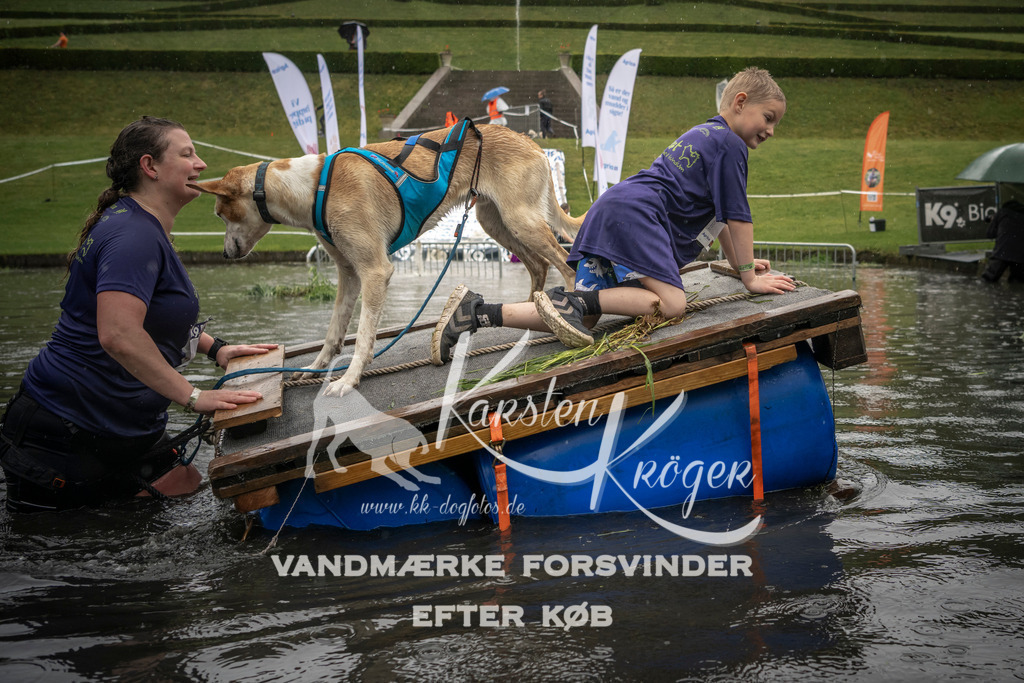 1557_ZZ96019-2 | kk-dogfotos