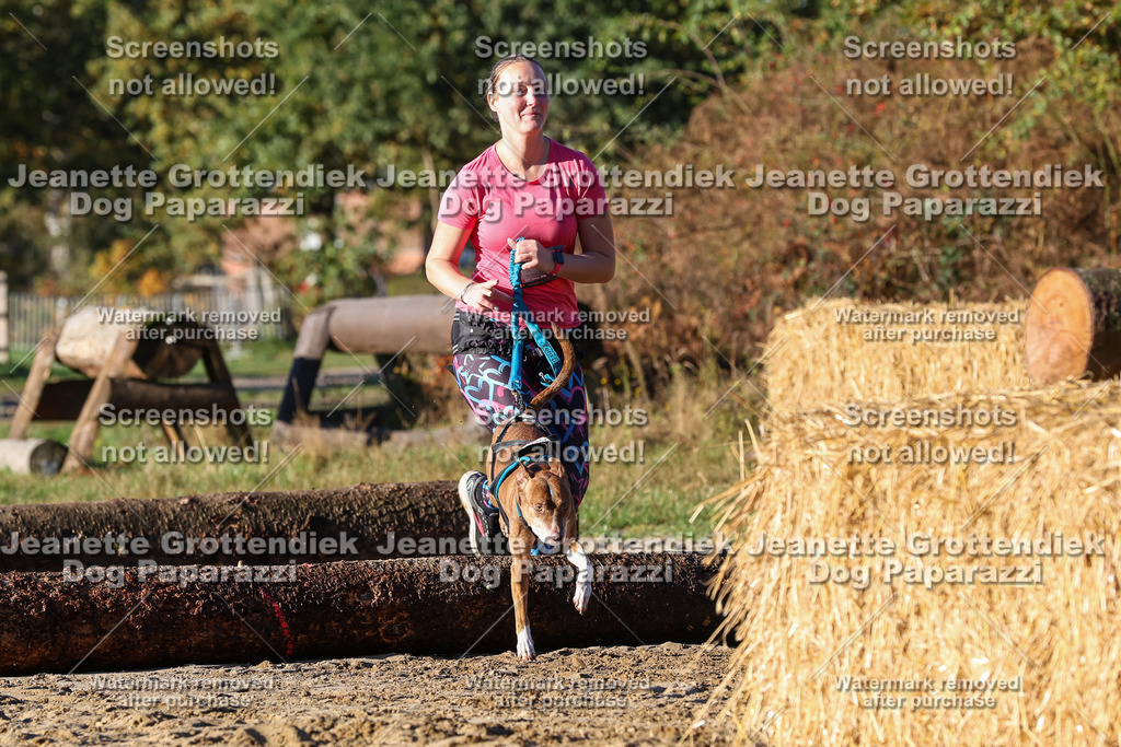 Dog Paparazzi - Strongdog 10-25-1226 | Dog Paparazzi Jeanette Grottendiek Fotografie & Videografie - Realisiert mit Pictrs.com